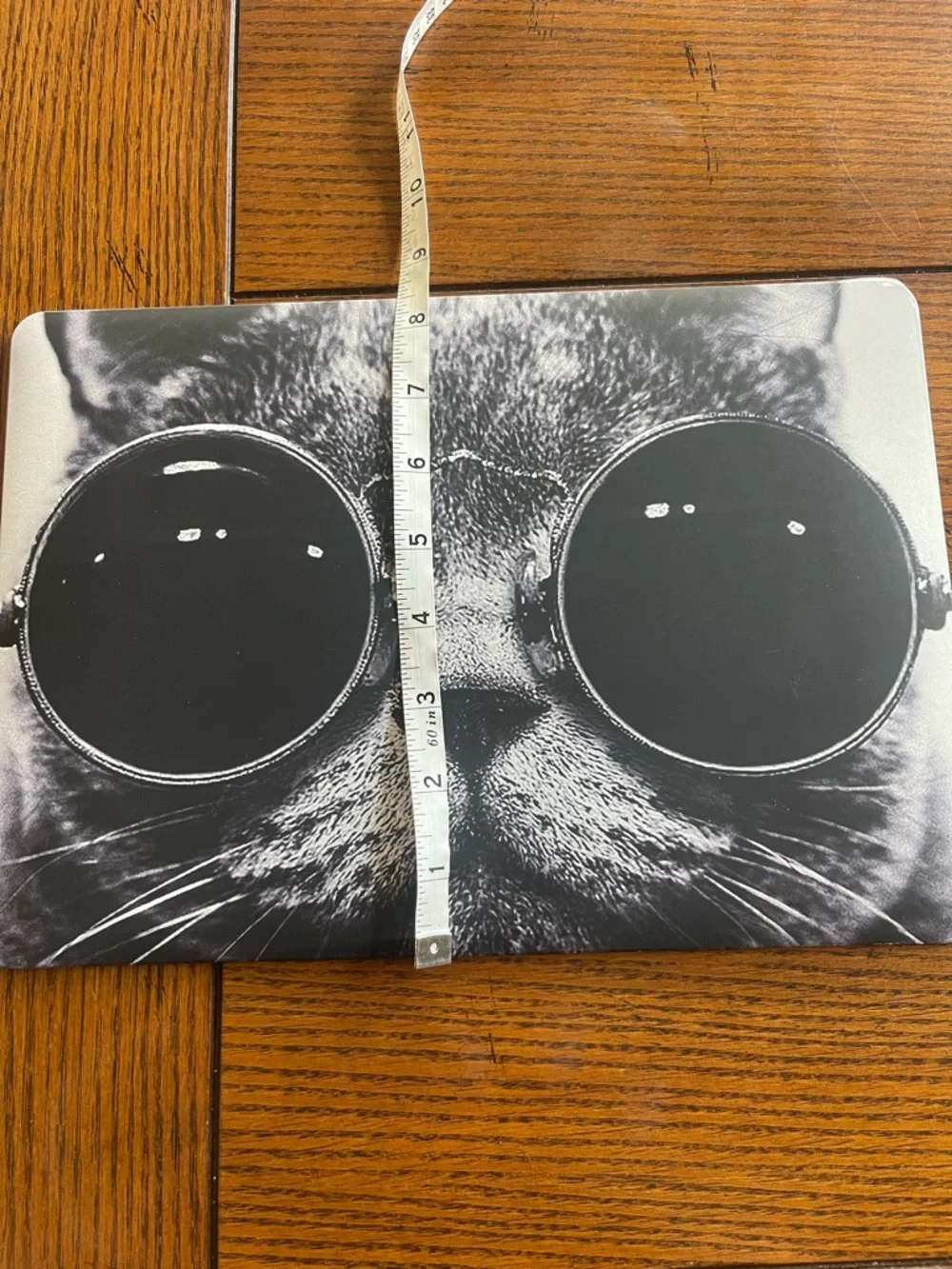 Cat with Sunglasses Decorative Cat Laptop Skin Hardcover Case Black and White